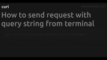 How to send request with query string from terminal #curl