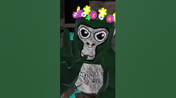 #gorillatag #oculus #oculusquest #oculusquest2 #virtualrealityheadset #quest2 #funny #vrheadset