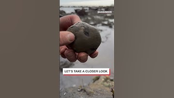 🦕 Prehistoric Pokémon #shorts