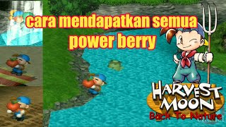 cara mendapatkan semua power barry - harvest moon back to nature