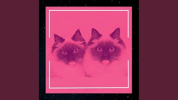 Jazz Quartet Soundtrack for Lazy Cat Days