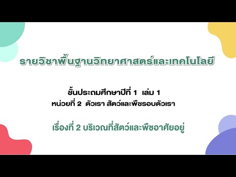 วีดีโอ: สัตว์อะไรอาศัยอยู่ในที่ราบกว้างใหญ่