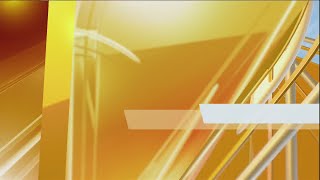 Bridge Crash I-16 Westbound, Eastbound Reopens, Truck Driver To Face Charges