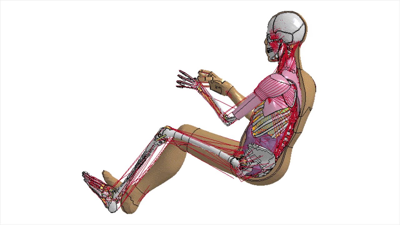 thums v 5 toyota s latest virtual crash dummy software youtube
