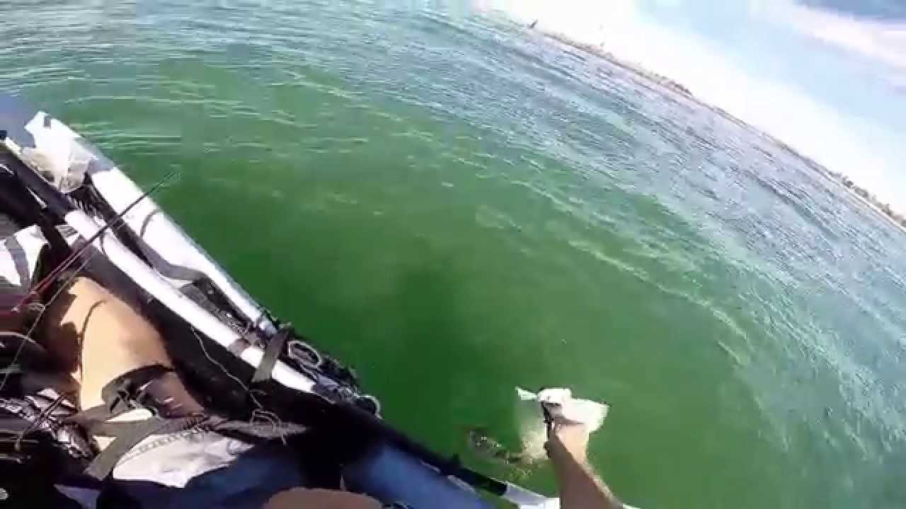 Fishing Kayak Marina Del Rey YouTube