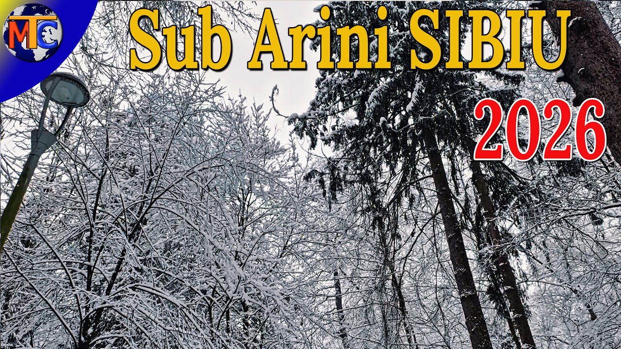 Iarnă de basm în Parcul Sub Arini, Sibiu | Ianuarie 2026 – Video Iarnă de basm în Parcul Sub Arini, Sibiu | Ianuarie 2026 – Video
