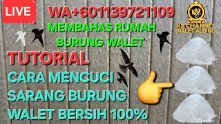 Download Lagu TUTORIAL CARA MENCUCI SARANG BURUNG WALET BERSIH SERATUS PERSEN MP3