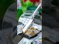 DIY Feng Shui Wealth Bowl: Attract Abundance in 60 Seconds!