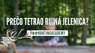 🦌 TETRAO VÁBNIČKA RUJNÁ JELENICA - Majster Európy Jaroslav Mlynárik predstavuje našu novinku! 🔥