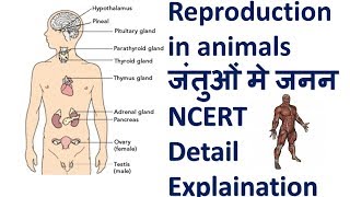 Reproduction in animals IIजंतुओं मे जनन II CLASS 8 II COMPETITION EXAMS II SSC , RAILWAY , CET . Reproduction in animals IIजंतुओं मे जनन II CLASS 8 II COMPETITION EXAMS II SSC , RAILWAY , CET .