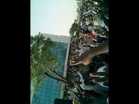 مبدأ الحرية آول