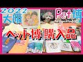 【Pet博2022大阪】愛犬トルテとお得すぎる！ペット博購入品＆ノベルティーサンプル紹介