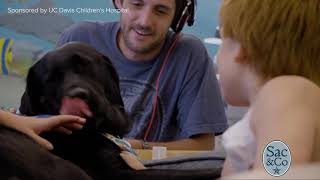 Details Meet UC Davis Children Hospitals Therapy Dog Huggie! Update