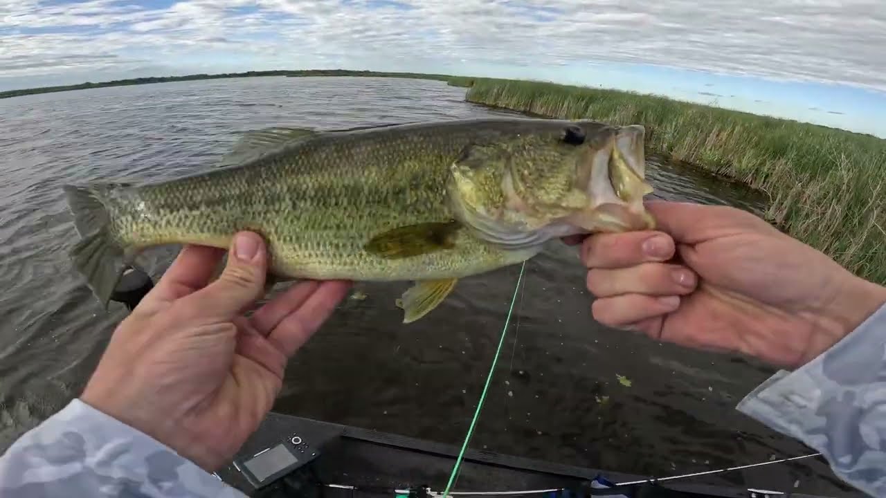 Rod Godz – Wisconsin bass fishing – Caught fish on first and last cast