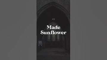 5 Serif fonts for your next design project | #shorts | designersanket