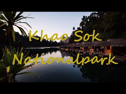 Thailand 2021 🇹🇭 Khao Sok Nationalpark 🐘🦅🌳