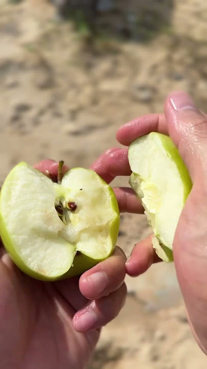 Tarzax eating apple. #yoga #muscle #exercise #camping #musclebuilding #fitness #muscletraining