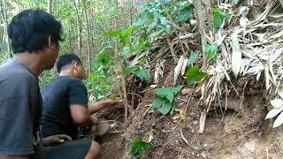 Asikknya Bolang bahan bonsai serut di pinggir kali