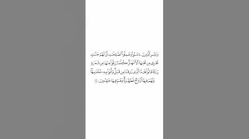 صلاة التراويح ليلة ١ رمضان ١٤٤٥هـ سورة البقرة الاية ٢٥ الشيخ #محمد_برهجي