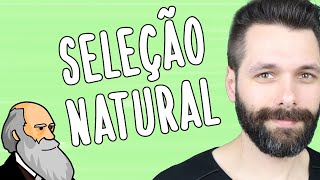 TIPOS DE SELEÇÃO NATURAL - Evolução | Biologia com Samuel Cunha