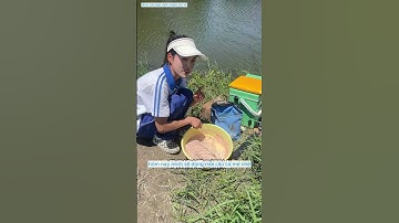 em học sinh đi câu nhưng chủ hồ không cho câu và cái kết #fishing #cauca #xuhuong #giaitri #haihuoc