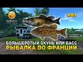 Большеротый окунь или Басс. Рыбалка во Франции - Fisher Online #43