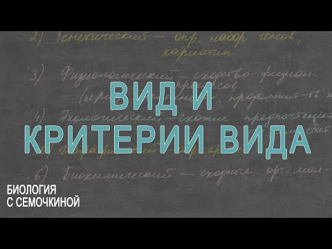 Вид и критерии вида