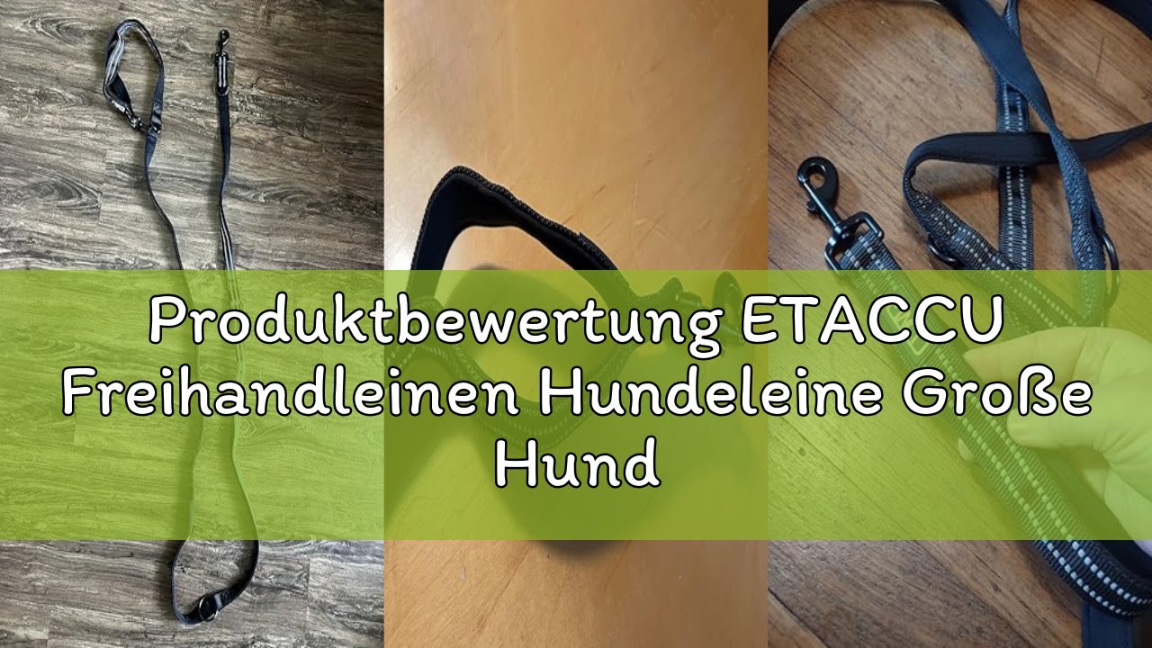Produktbewertung ETACCU Freihandleinen Hundeleine Große Hunde Joggingleine Hund Mit Verstellbarem Hü