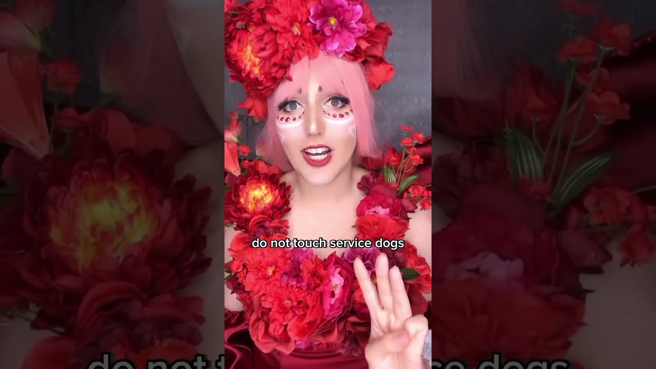First Time Going To A Convention Basic Etiquette 