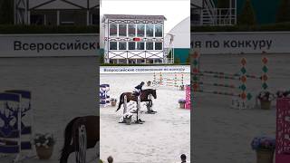 show jumping 115 All-Russian equestrian competitions #конкур #horse #лошади #equestrian