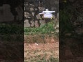 Poseidon Fishing Drone Carry 1 2kg Bait Testing With 4000 Mah Battery Poseidon Fishing Drone Carry 1 2kg Bait Testing With 4000 Mah Battery