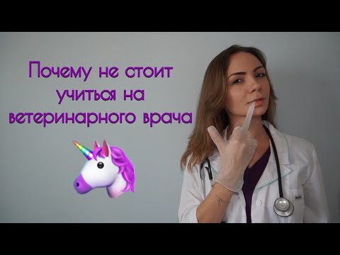 ПРОФЕССИЯ ВЕТЕРИНАР : ГОТОВЫ ЛИ ВЫ СТАТЬ ВРАЧОМ?