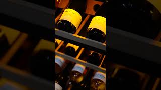 Masterzen XPR W46 undercounter wine cellar