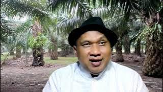 Pilihan : Beli Kebun Sawit Jadi atau Lahan Kosong ???