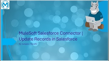 MuleSoft Salesforce Connector | Update Records in Salesforce