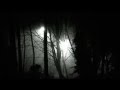 EXIF - Sea of Fog
