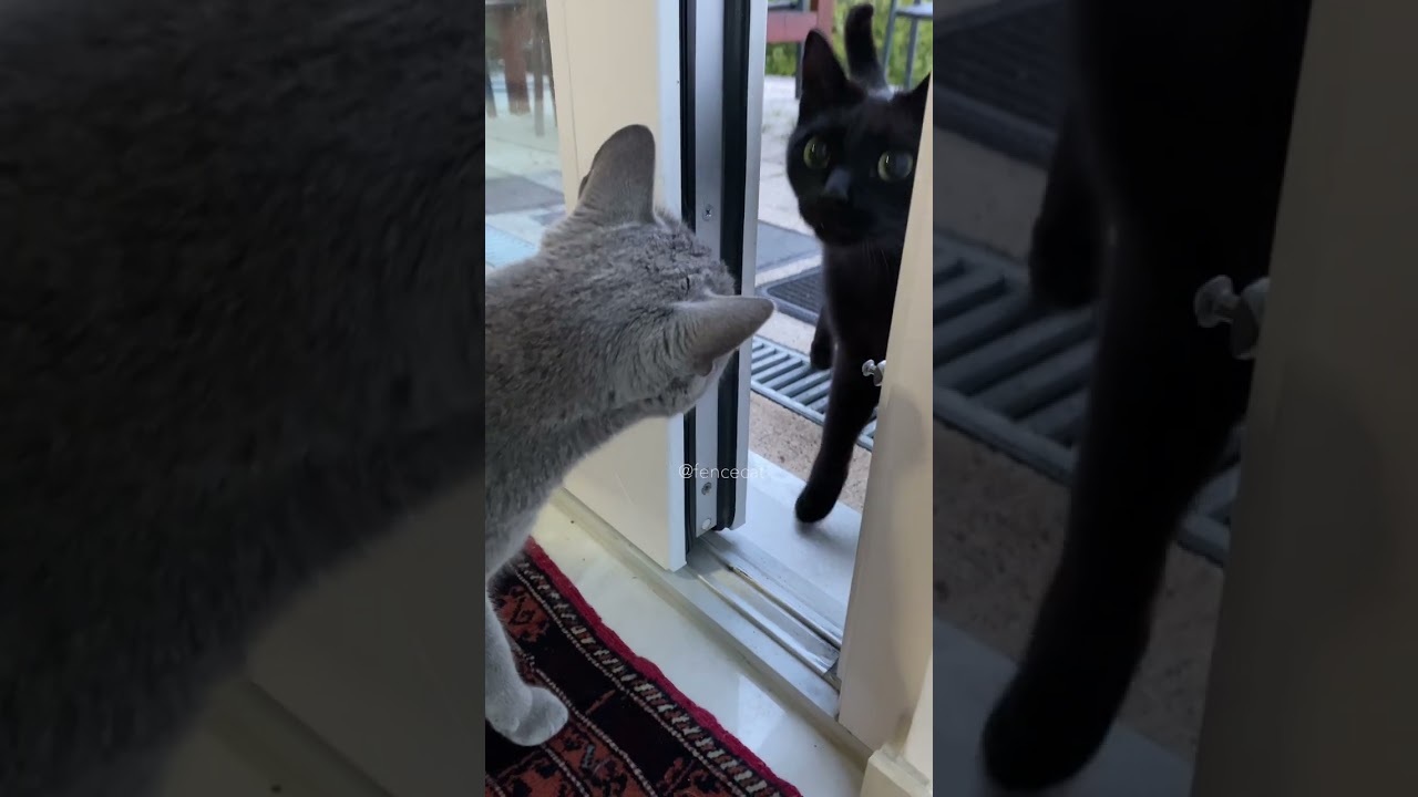 I opened the door and they kissed 