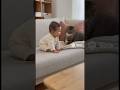 Cat Saves Baby 👶🐱|落ちそうな瞬間、そっと支える優しさ💛#cat #baby #AIvideo #purelove #ringcamera