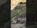 अमरनाथ यात्रा का महत्व। #shortvideo #amarnath