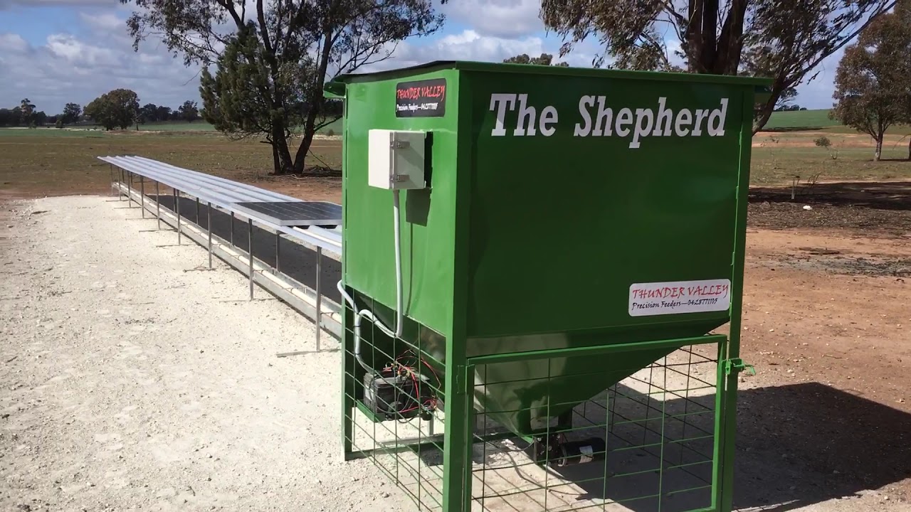 On Farm Innovation Series The Shepherd