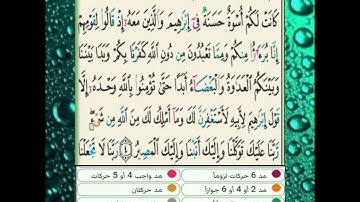 سورة الممتحنة: تفصيل أحكام الآية 4 برواية حفص عن عاصم 🌴🦜.
