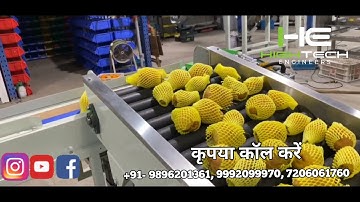 Pear Grading Machine - 99920-99970 - Hi-Tech