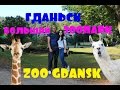 Жизнь в Польше/Зоопарк в Гданьске/Zoo Gdańsk