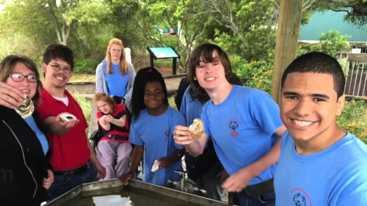 The Dauphin Island Sea Lab YouTube
