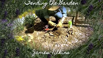 "Tending the Garden" -James Filkins