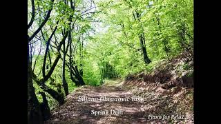 Biljana Obradovic Bixy - Spring Drift - Piano For Relax Official Audio 2019