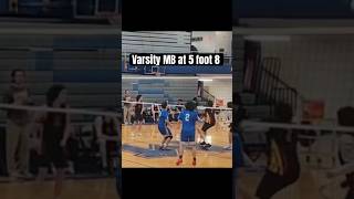 When hard work pays off! #volleyball #vertical #train #middleblocker #edit #blocking