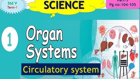 Organ Systems unit-1(Part-3)Circulatory system/5th Std Science English medium Explained in tamil