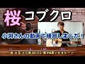 「桜」コブクロ ギター弾き語り cover（歌詞・コード・ハモリ付）小渕さんの動画で練習しました【卒業ソング】