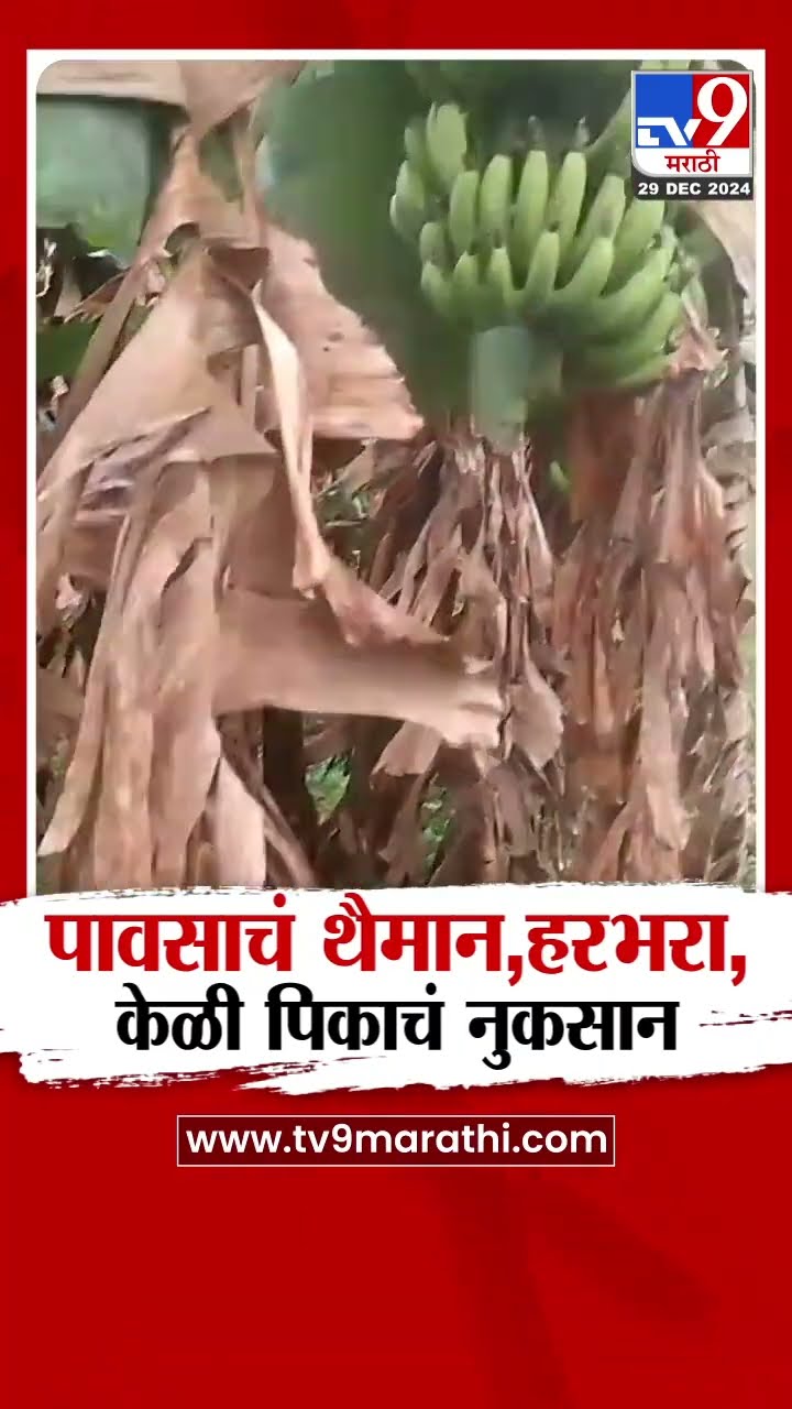Dhule मध्ये मुसळधार पावसाचं थैमान, हरभरा, केळी पिकाचं नुकसान| tv9 Marathi